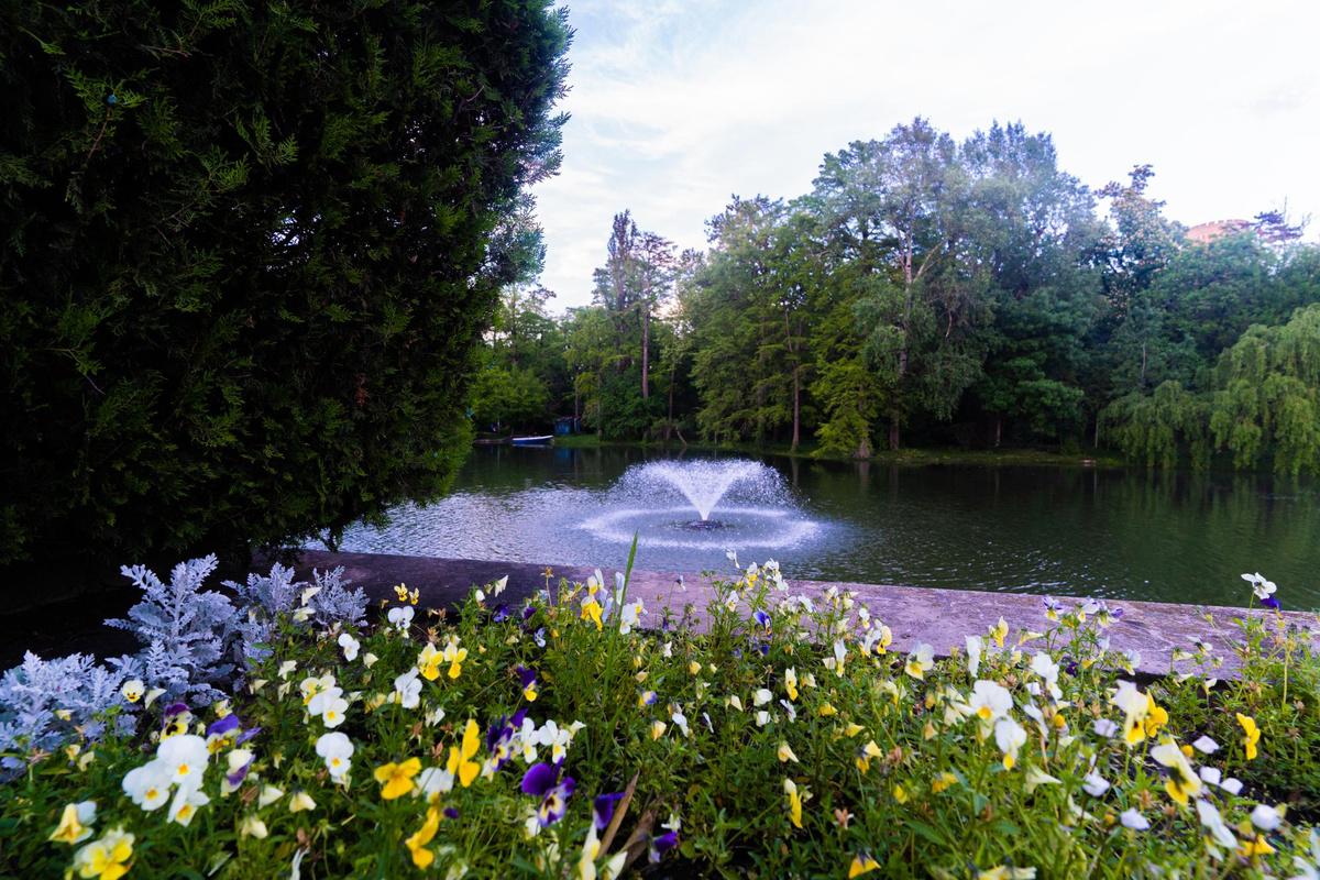    Фото: freepik.com