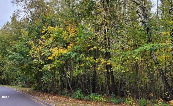    фото Курские известия