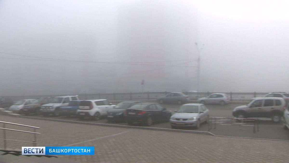    Видимость до 50 метров: в Башкирии из-за сильного тумана объявили штормовое предупреждение