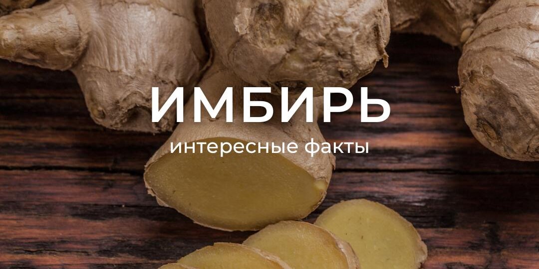 Топ-4 интересных факта про имбирь
