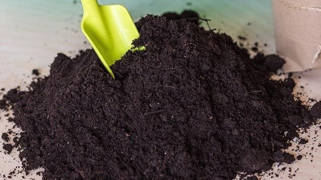 Фото с pinterest.com