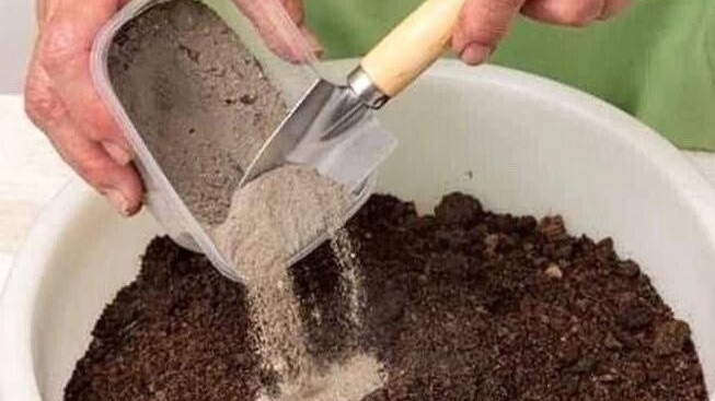 Фото с pinterest.com