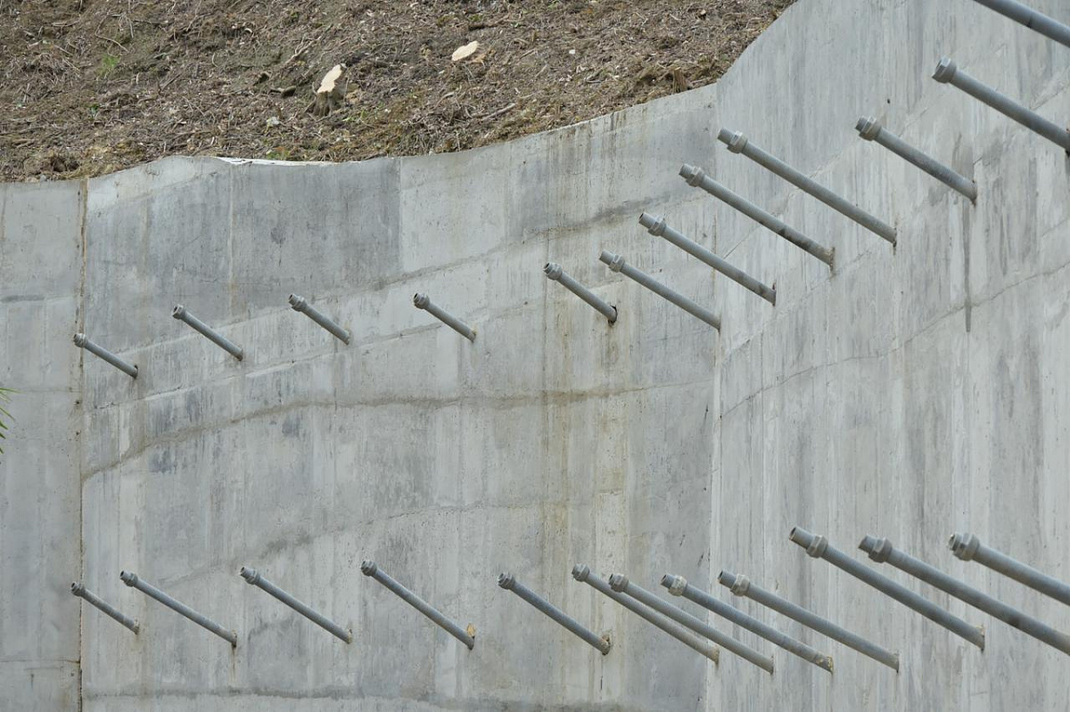    Фото: пресс-служба администрации города Сочи