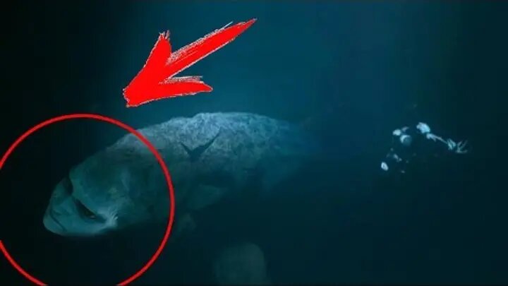 Загадки океана