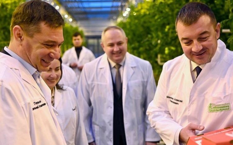    В Тамбовской области наблюдается стабильный рост производства овощей