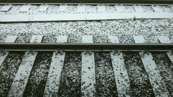    CC BY-SA 2.0 / Marjolein Katsma / First snow