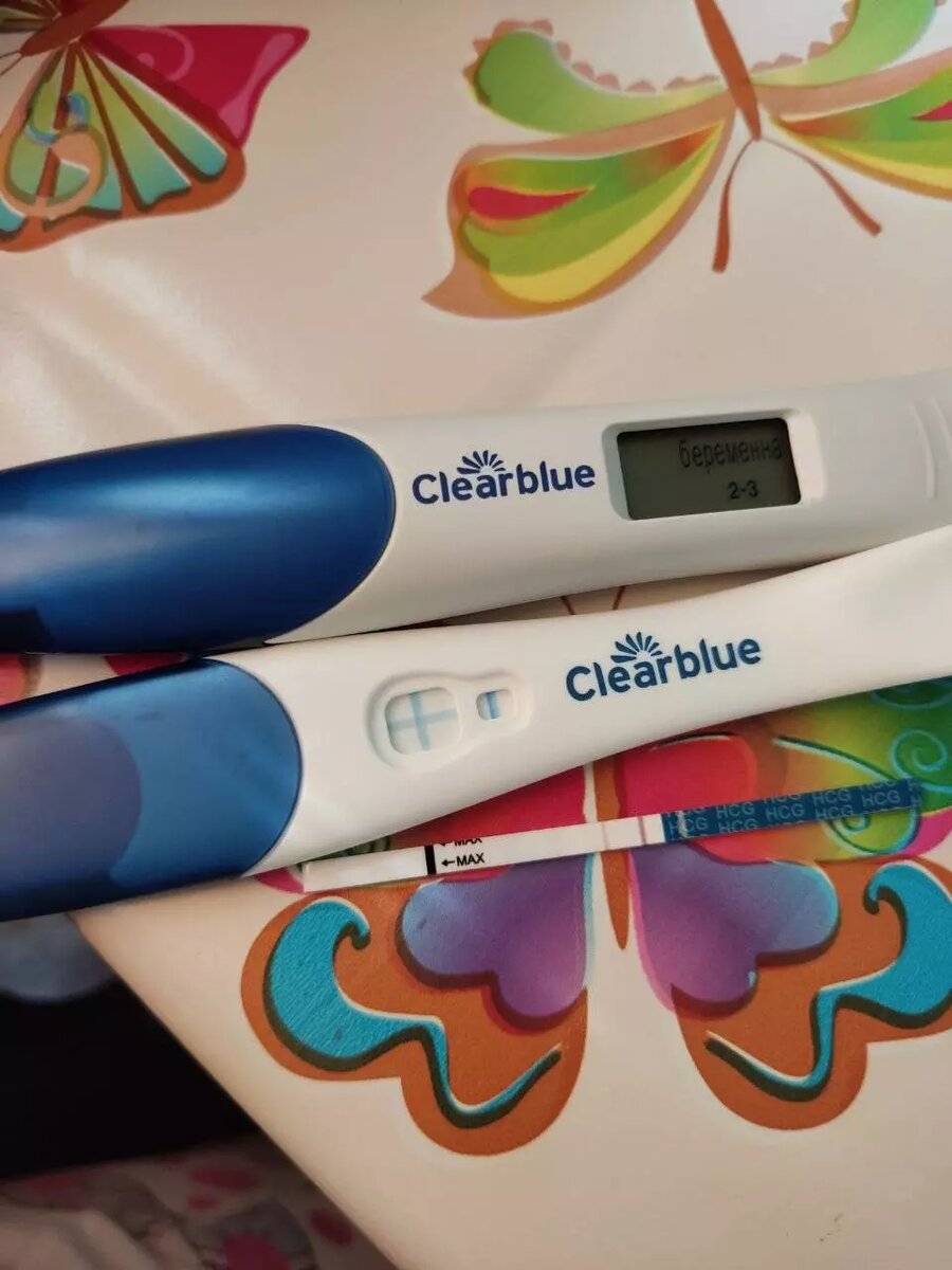     Источник: Телеграм-канал KRIS 2.0