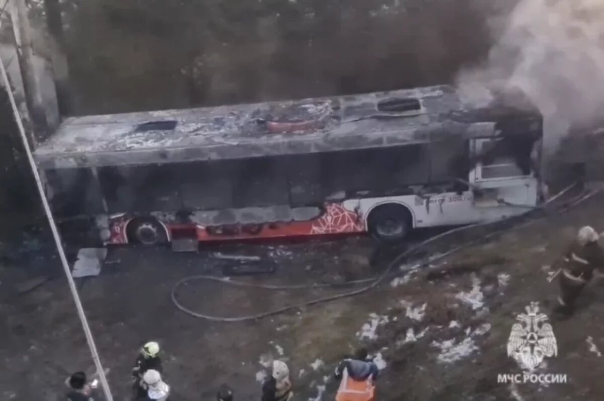    Автобус съехал в кювет и загорелся