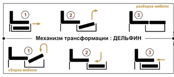 Механизм трансформации: дельфин 