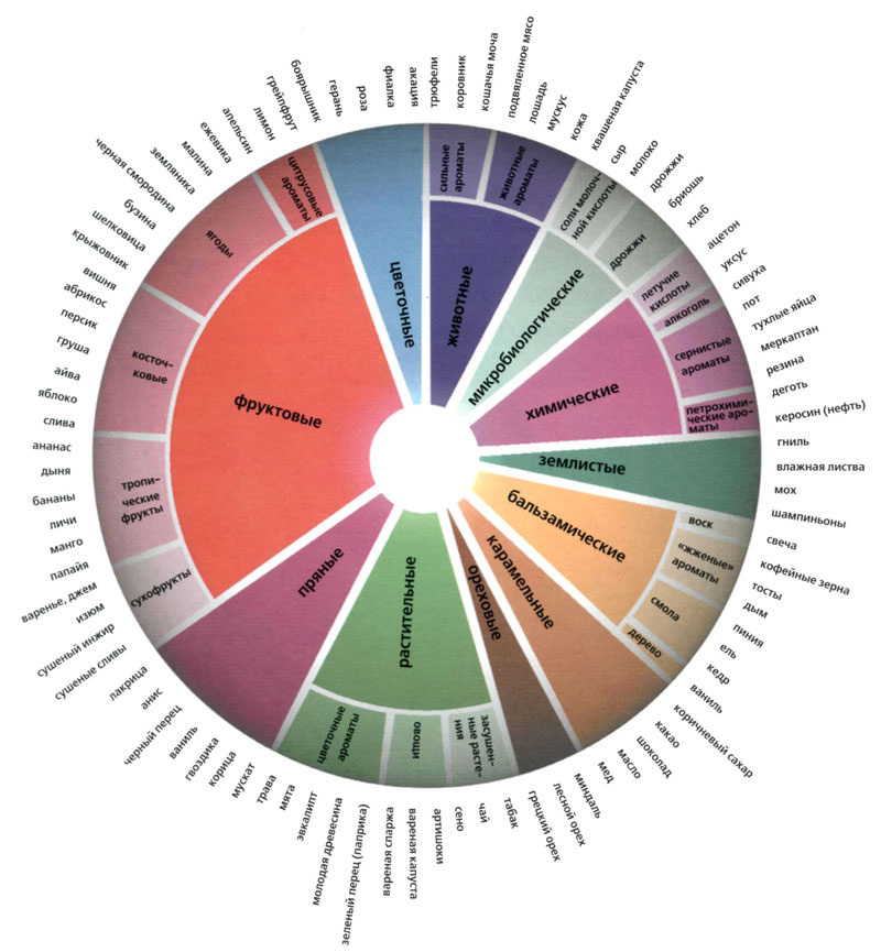 Колесо ароматов. Вино живой журнал