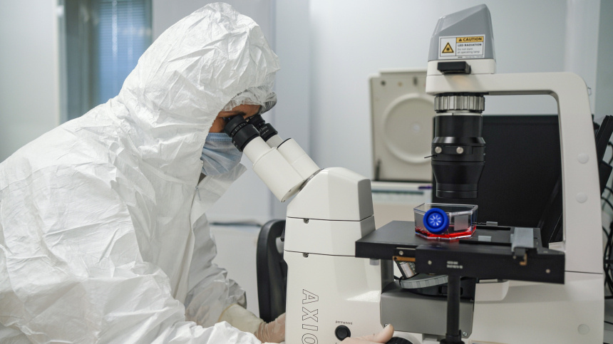    Фото: ИЗВЕСТИЯ/Анна Селина; 5-tv.ru