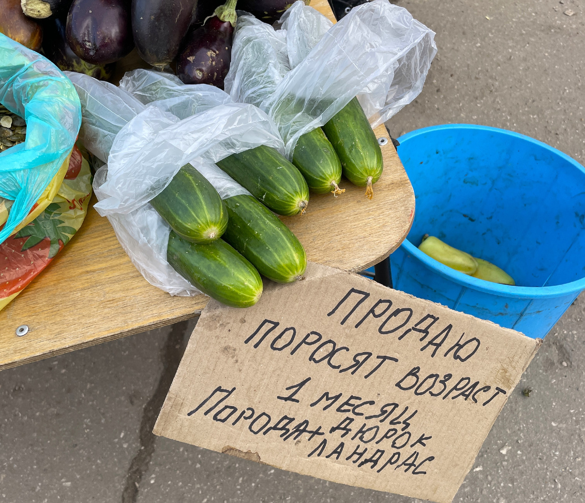 а это продажа огурцов на рынке и заодно поросят