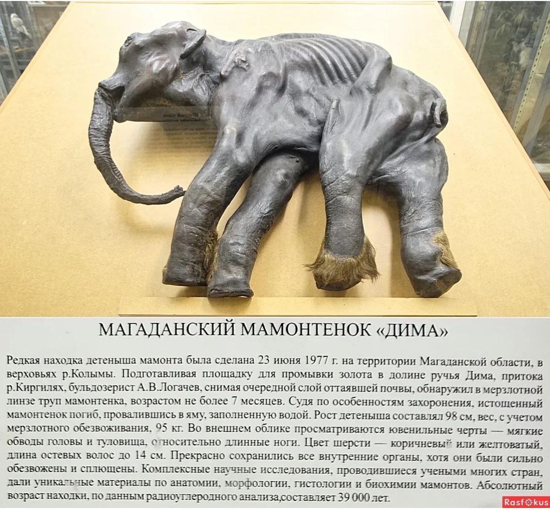 Фото из интернета