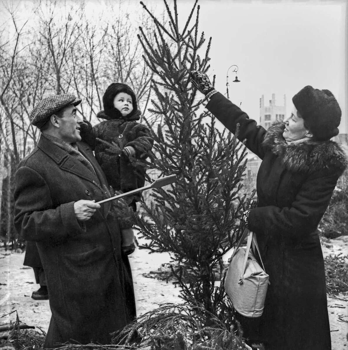 На елочном базаре на Арбатской площади. 1956 год. Фото Д. Шоломовича. Главархив Москвы.