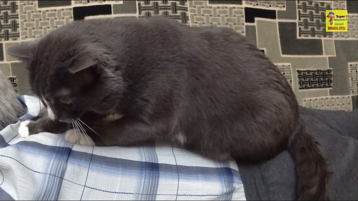 Лечебный массаж