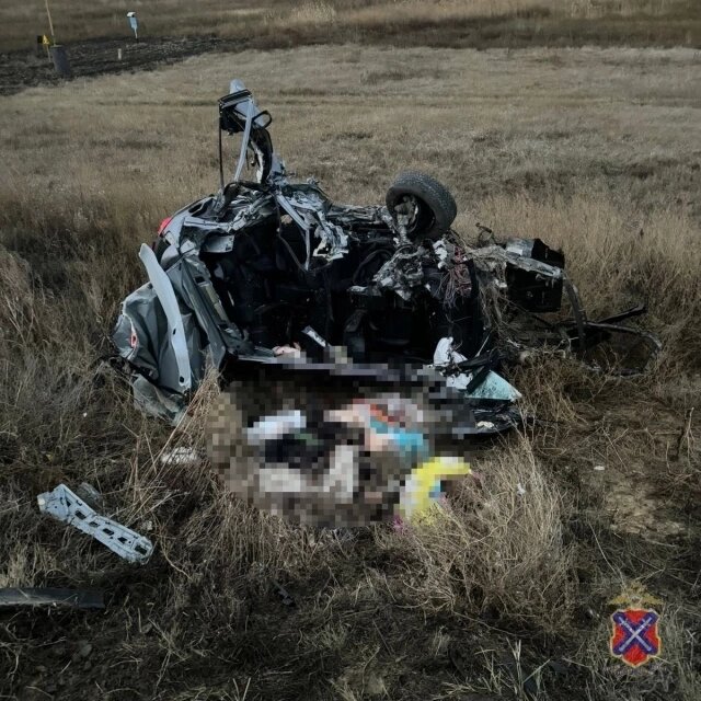    Фото: ГУ МВД по Волгоградской области