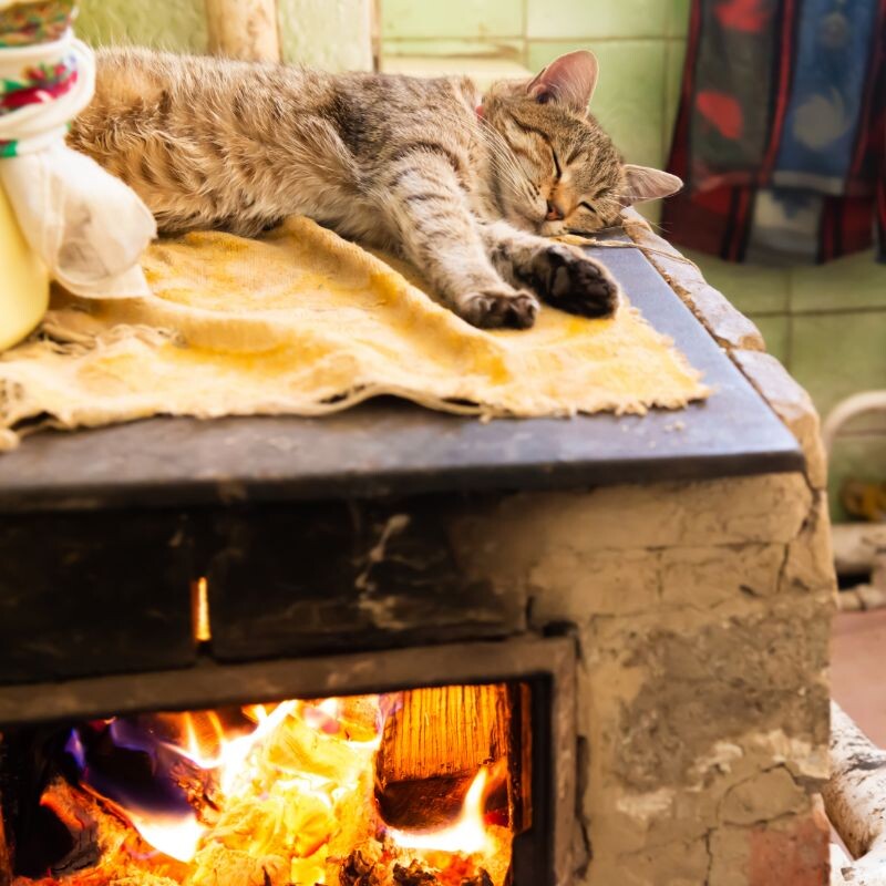 Кот спит на печке 