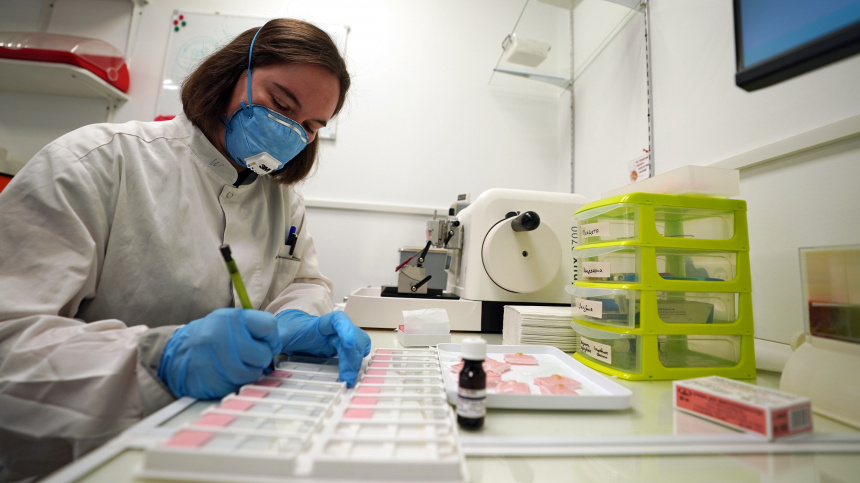    Фото: ИЗВЕСТИЯ/Павел Волков; 5-tv.ru