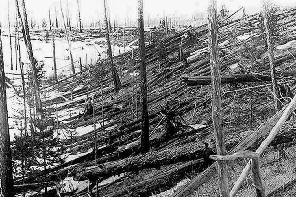 Тунгусский метеорит повалил 80 млн деревьев в радиусе 70 километров от эпицентра