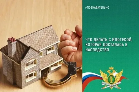 Из картинок Яндекса