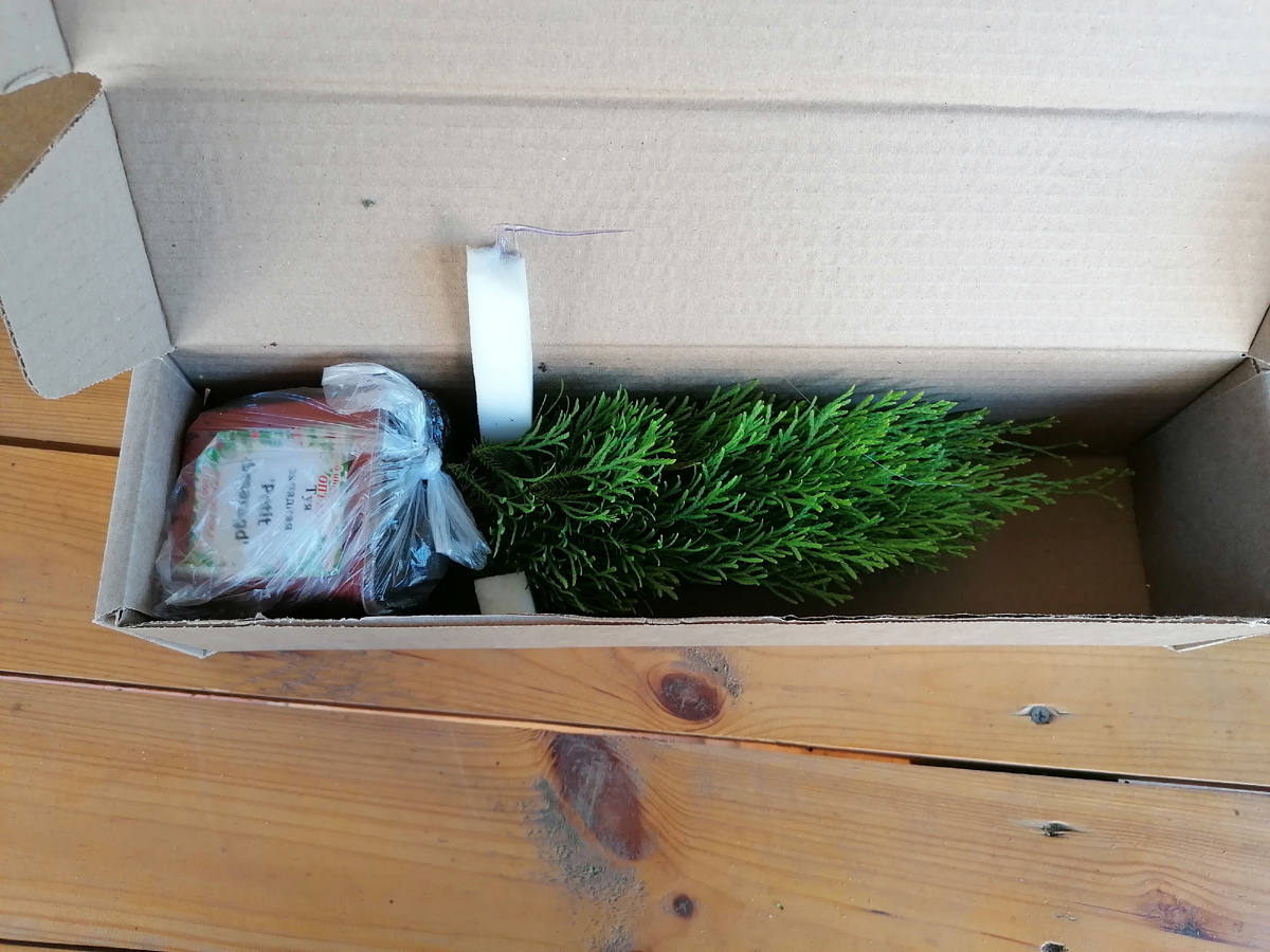 Туя Petit Smaragd одна была в коробке 