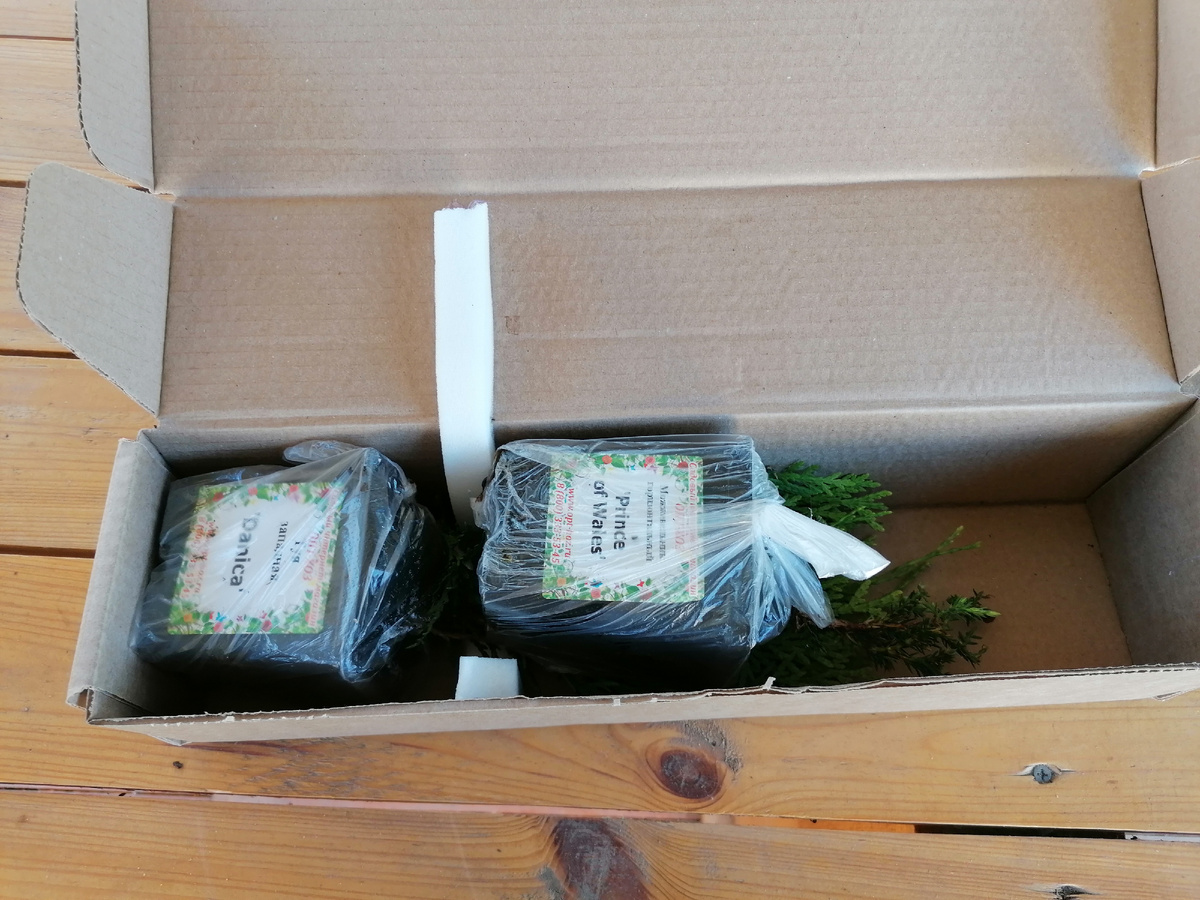 А эти товарищи парочкой лежали, но никто не пострадал