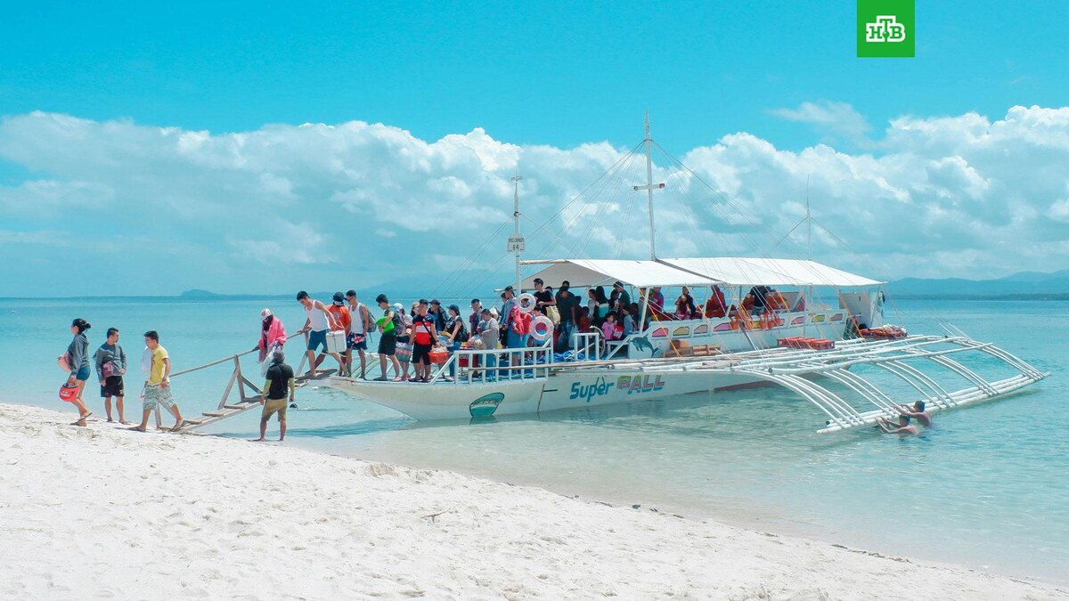    Фото: Ina Carolino / unsplash.com