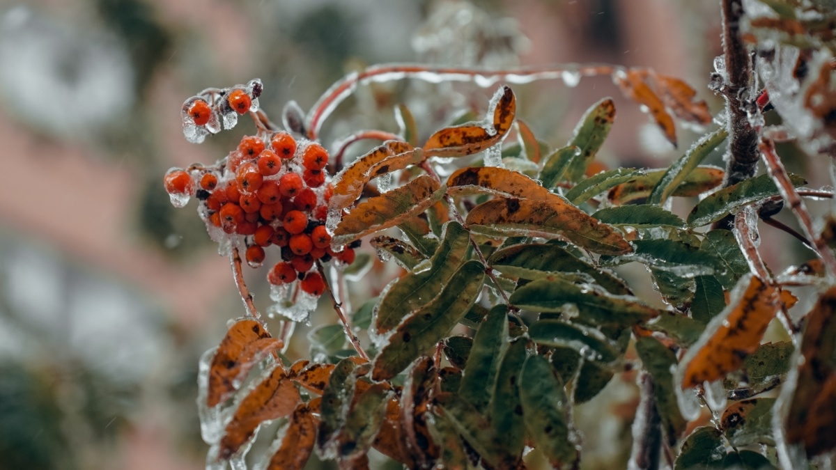 Светлана Мулыкина📷
