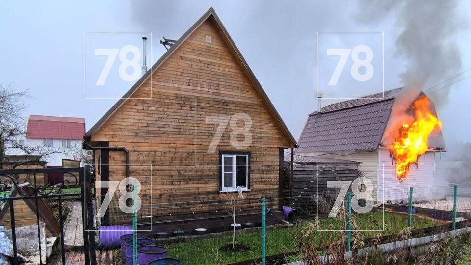    Фото: 78.ru