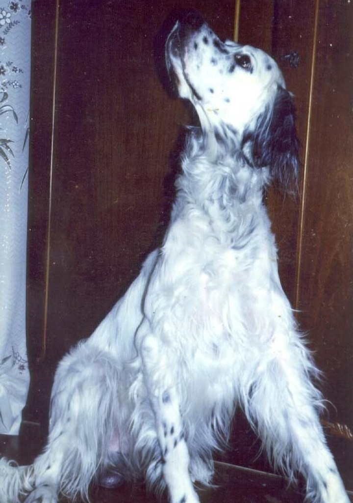 Гарви собственной персоной. Фото из личного архива автора письма