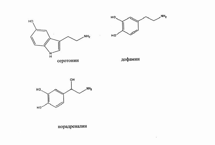 Вот так выглядят вещества, которые заставляют нас получать удовольствие от страха
