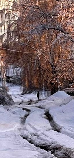 Ан нет...спешить не нужно! К вечеру уже плюсовая температура и моментально захлюпало!)