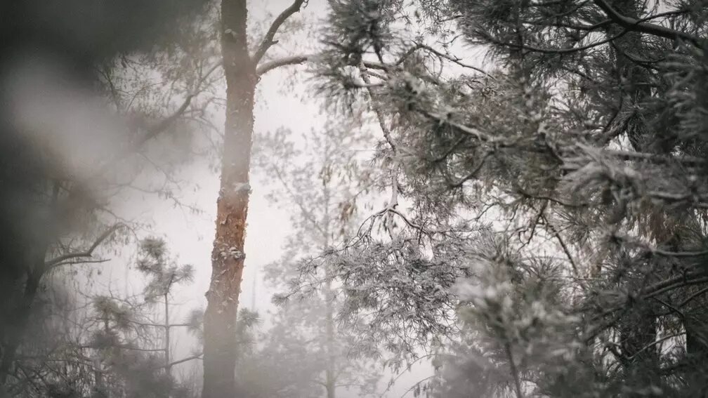     Источник: 1MI