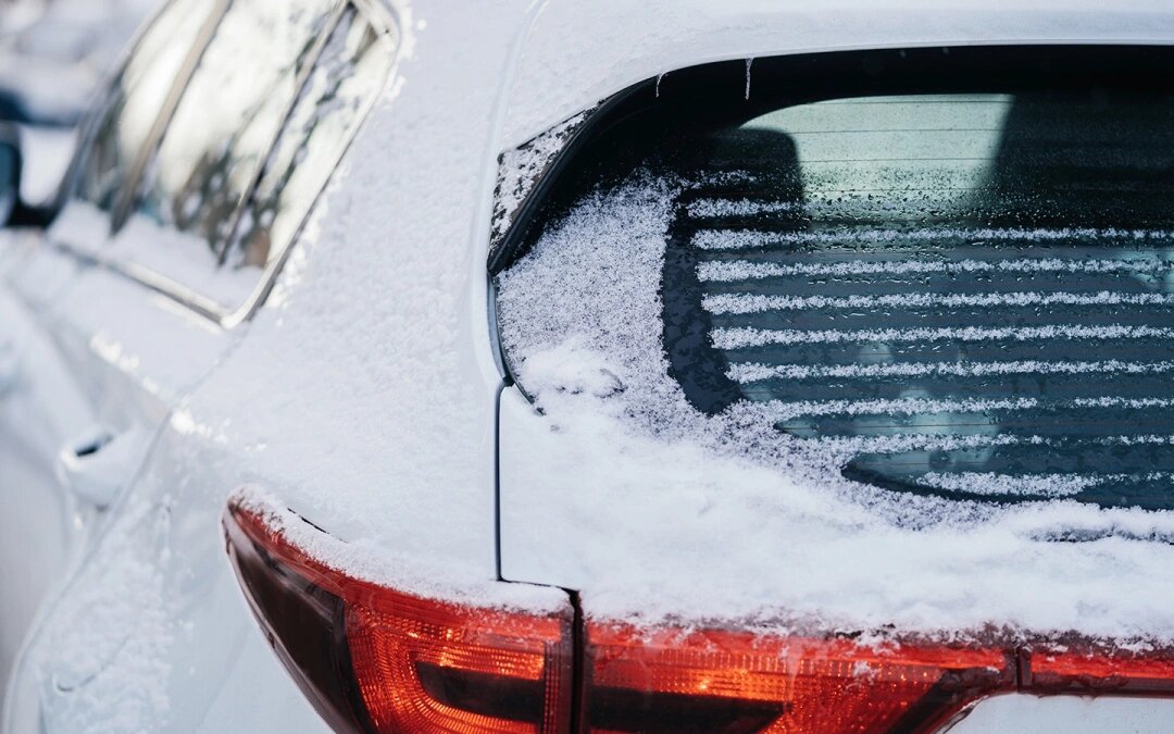 Фото: Dmitry Galaganov / Shutterstock / FOTODOM