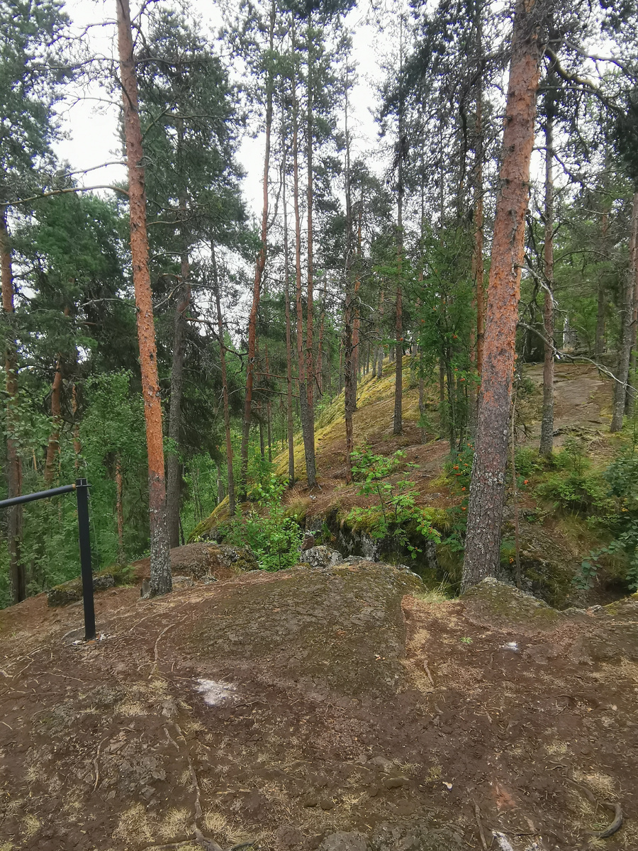 необыкновенная природа при подъеме на гору Сампо