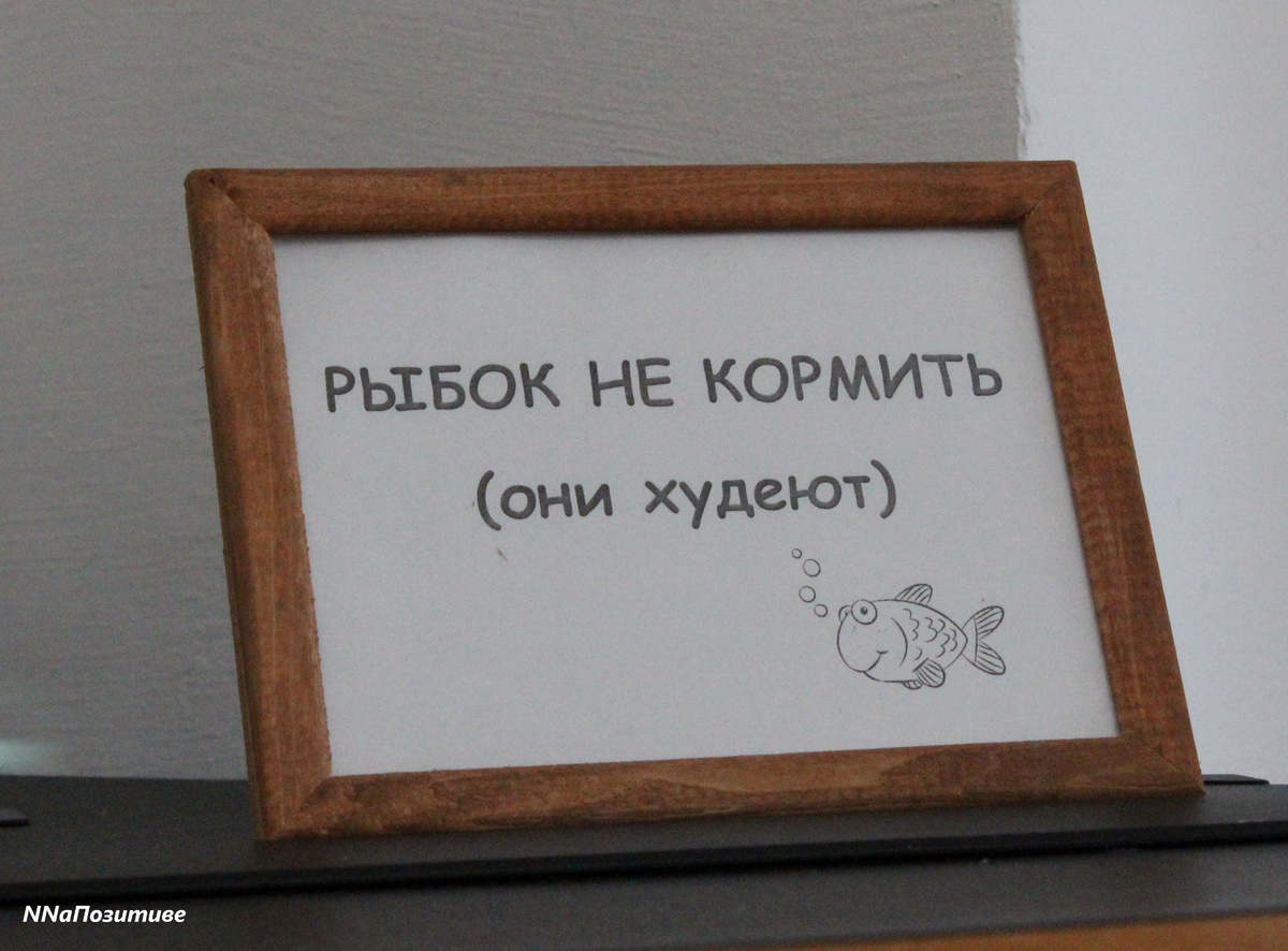 Они худеют :)))