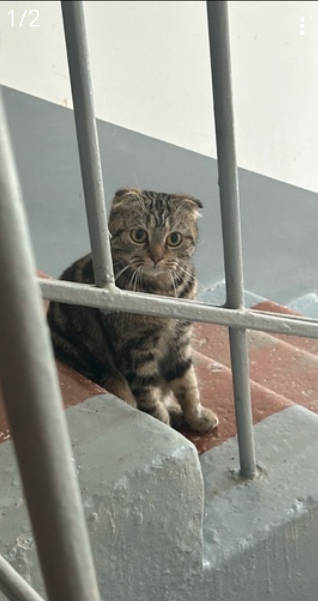 Фото из соцсетей ВКонтакте