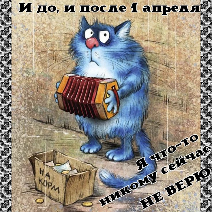 синий котик Рины Зенюк