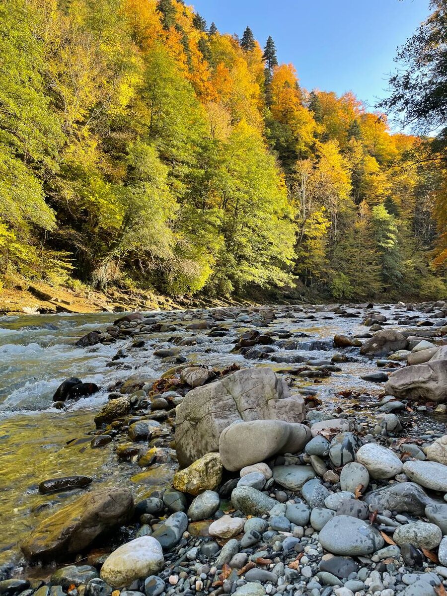 Река Белая. Октябрь 2024. 