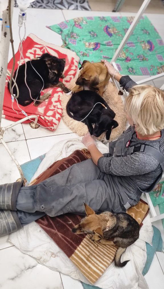 Анси больше нет, Бэтти тоже заболела