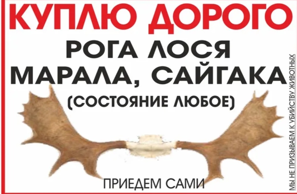 Фото из интернета