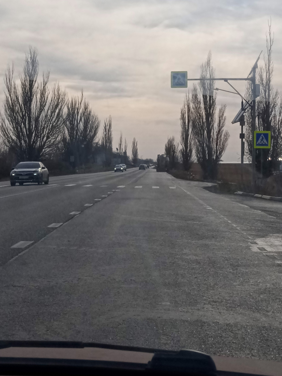 Собственное фото автора. 23 ноября 2024 г.