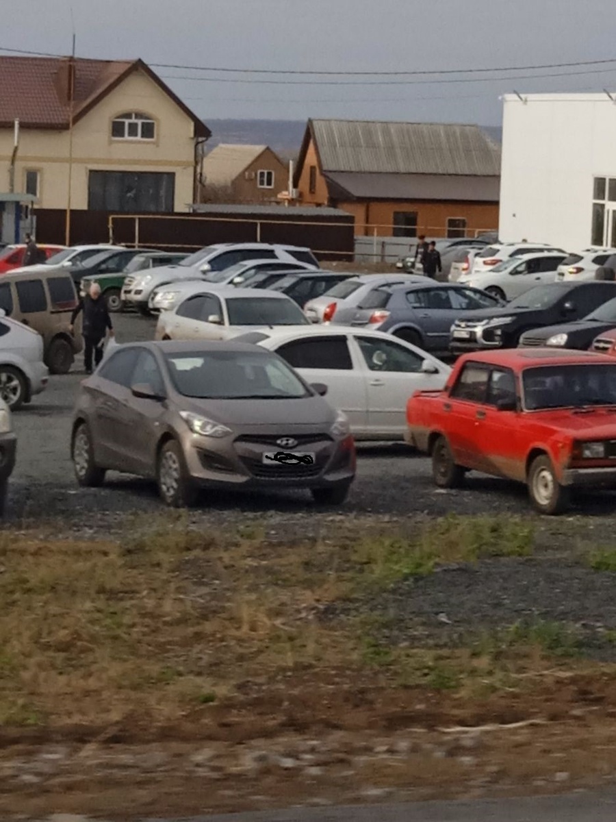 Собственное фото автора. 23 ноября 2024 г.