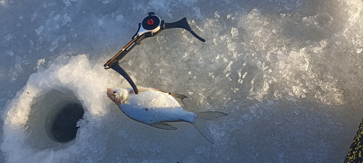 #Рога, #Финская удочка, #Скандинавская удочка, #Гусли, #Зимняя рыбалка!