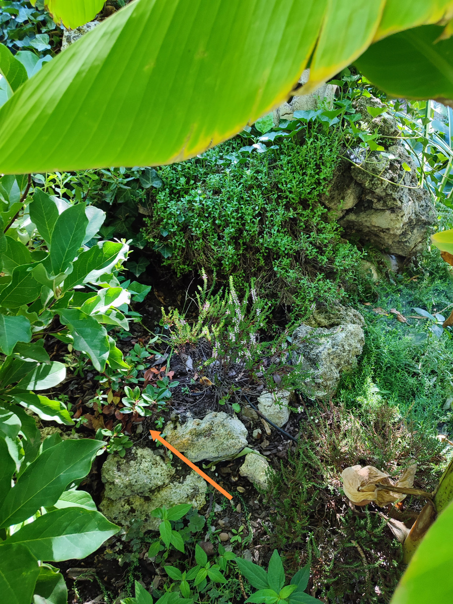 фото 7 сентября 2024 г.