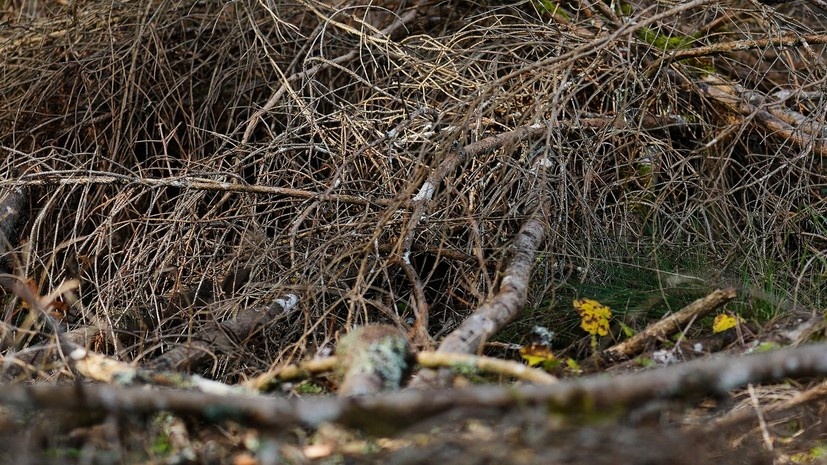   РИА Новости Александр Вильф