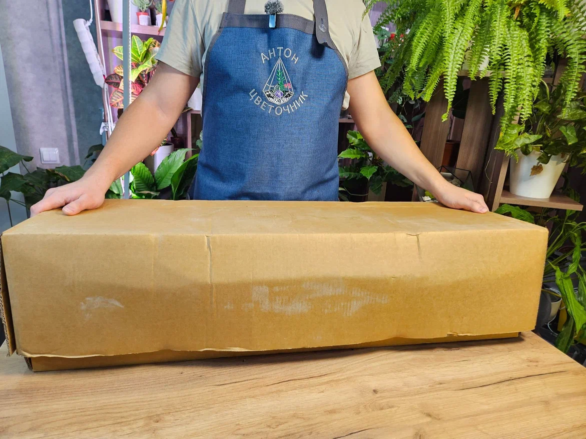 "Моя прелесть"