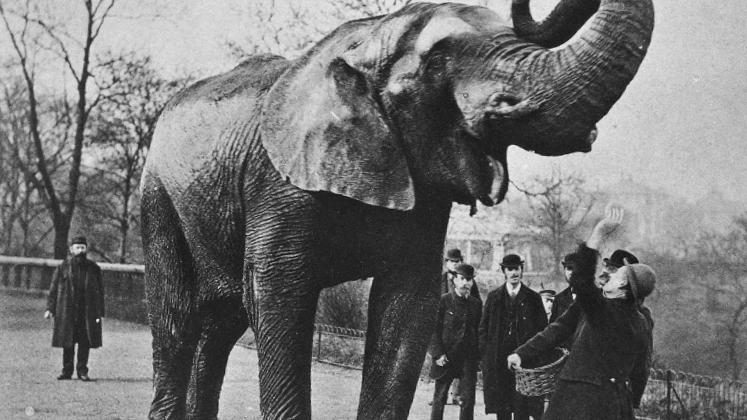 Ну когда уже начнем?