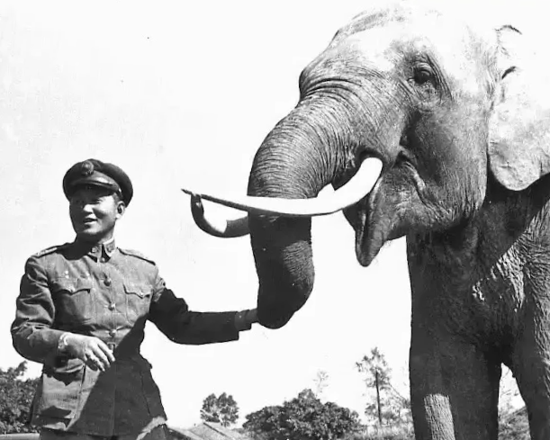 Гляньте на него, годится в военную подготовку!