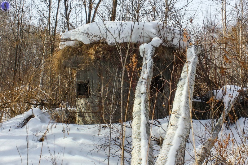 -25